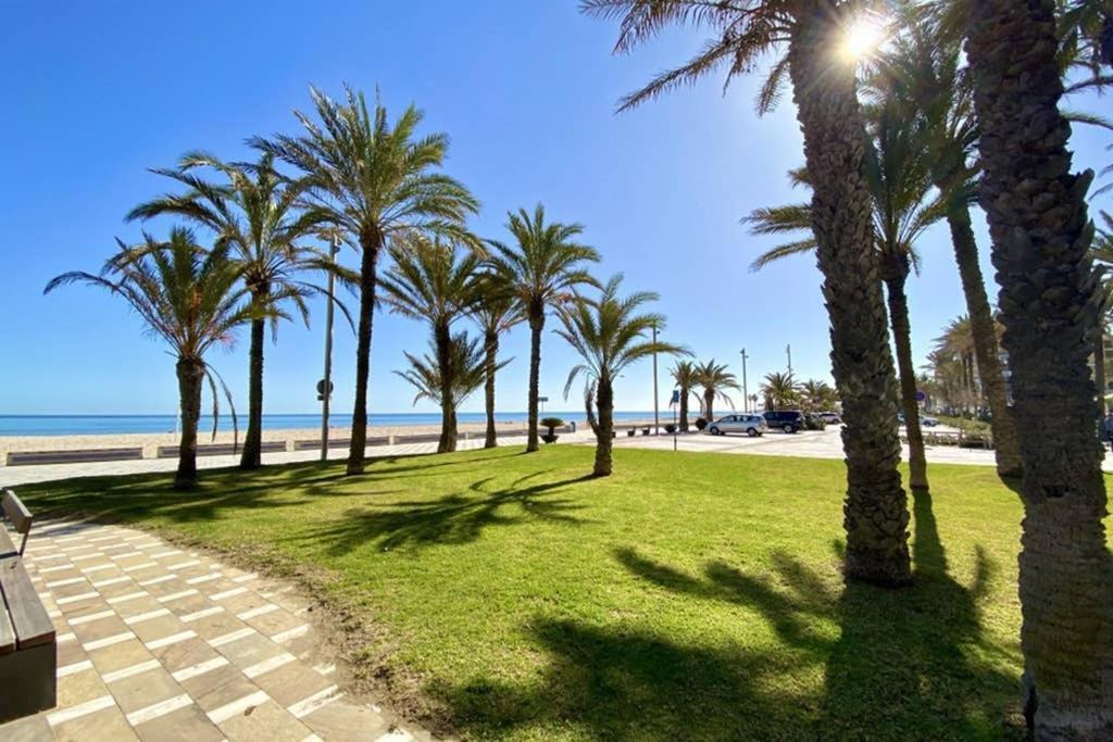 Nereo 7 Primera Linea De Playa San Juan Piscina, Parking Wifi Inmobiliaria Leo Alicante Luaran gambar